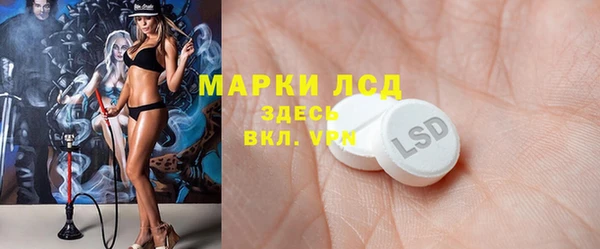 молекула духа Арсеньев