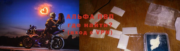 молекула духа Арсеньев