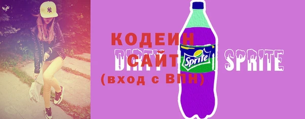 молекула духа Арсеньев