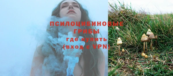 молекула духа Арсеньев