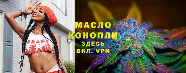 молекула духа Арсеньев