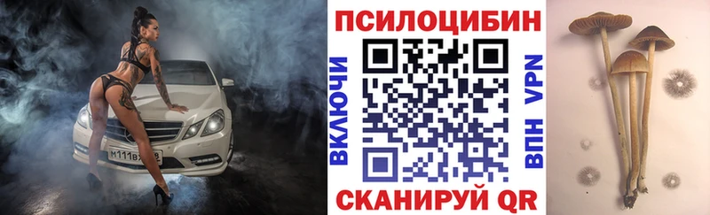 Галлюциногенные грибы Psilocybe  Арск 
