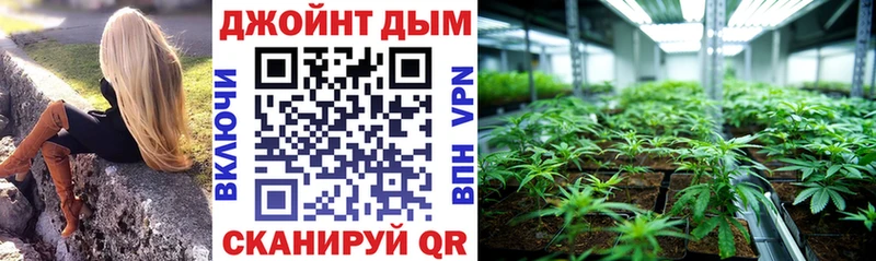 darknet телеграм  Арск  Бошки марихуана сатива 
